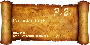 Paluska Erik névjegykártya
